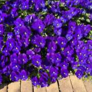 ヒメ日記 2026/03/28 11:55 投稿 中川ゆかり セカンドパートナー本店