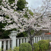 中川ゆかり ゆかりです♪ セカンドパートナー本店