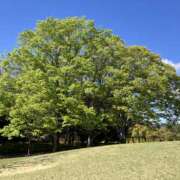 ヒメ日記 2026/04/08 09:20 投稿 中川ゆかり セカンドパートナー本店