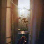 ヒメ日記 2026/03/12 20:18 投稿 みわ VIVIDCREWマダムセカンドバージン 梅田店