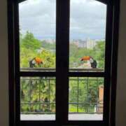 ヒメ日記 2026/01/17 13:13 投稿 五條まりさ ミスターダンディー