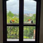 五條まりさ 三連休 ミスターダンディー