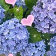 ヒメ日記 2026/06/04 00:16 投稿 土井そら 五十路マダムエクスプレス豊橋店（カサブランカグループ）
