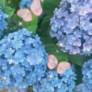 ヒメ日記 2026/06/06 17:38 投稿 土井そら 五十路マダムエクスプレス豊橋店（カサブランカグループ）