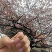 ヒメ日記 2026/03/13 22:00 投稿 みな 丸妻 池袋店