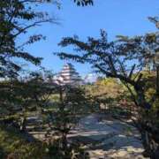 ヒメ日記 2026/10/10 15:03 投稿 ゆえ 熟女の風俗最終章 池袋店