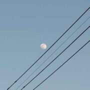 ヒメ日記 2026/01/30 16:18 投稿 朝比奈 ことの こあくまな熟女たち 西川口店(KOAKUMAグループ)