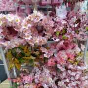 ヒメ日記 2026/02/18 18:18 投稿 朝比奈 ことの こあくまな熟女たち 西川口店(KOAKUMAグループ)