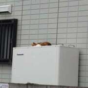 ヒメ日記 2026/07/07 10:04 投稿 朝比奈 ことの こあくまな熟女たち 西川口店(KOAKUMAグループ)