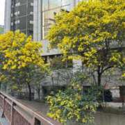 川本 芹香 恵みの雨だけど 福岡 大人女子のちょっとHな専門店