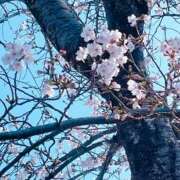 ヒメ日記 2026/03/28 06:25 投稿 東野 洋子 福岡 大人女子のちょっとHな専門店