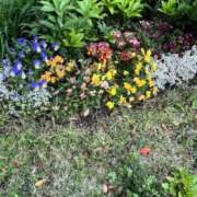 ヒメ日記 2026/04/12 08:26 投稿 東野 洋子 福岡 大人女子のちょっとHな専門店