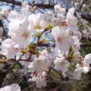 ヒメ日記 2026/03/30 09:22 投稿 黒木 れい 福岡 大人女子のちょっとHな専門店