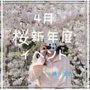 ヒメ日記 2026/03/31 18:31 投稿 一ノ瀬 つばき 福岡 大人女子のちょっとHな専門店