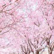 ヒメ日記 2026/03/18 20:15 投稿 吉田 理緒 福岡 大人女子のちょっとHな専門店