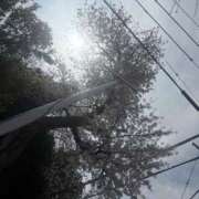 ヒメ日記 2026/03/29 14:21 投稿 吉田 理緒 福岡 大人女子のちょっとHな専門店