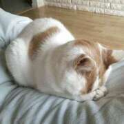 ヒメ日記 2025/12/26 21:01 投稿 クウ RING