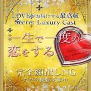 Chloé【クロエ】 お礼日記 LOVEキタ兎我野店