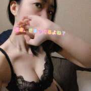 ヒメ日記 2026/03/28 08:28 投稿 こずえ 小岩人妻花壇