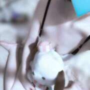 ヒメ日記 2026/01/11 22:37 投稿 はく 横浜シンデレラ（シンデレラグループ）