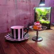 ヒメ日記 2026/02/09 17:25 投稿 北條 あみ Canx2女学院 京都校