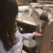 ヒメ日記 2025/12/26 16:05 投稿 ましろ ぐっすり山田 横浜店