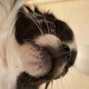 ヒメ日記 2026/02/12 21:03 投稿 れい Triple Pink(トリプルピンク)