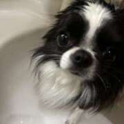 ヒメ日記 2026/03/07 21:18 投稿 れい Triple Pink(トリプルピンク)