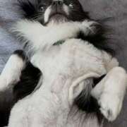 ヒメ日記 2026/03/12 21:35 投稿 れい Triple Pink(トリプルピンク)