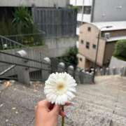 ヒメ日記 2026/02/26 16:19 投稿 YURIKA GINGIRA☆TOKYO～ギンギラ東京～