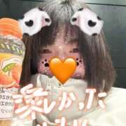 ヒメ日記 2026/01/12 23:59 投稿 すい スピードエコ日本橋店