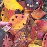 ヒメ日記 2025/12/14 13:47 投稿 みい 池袋マリン別館