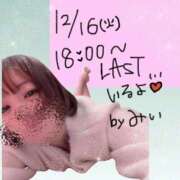 ヒメ日記 2025/12/16 12:14 投稿 みい 池袋マリン別館