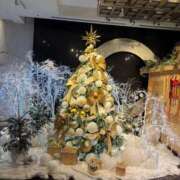 ヒメ日記 2025/12/20 21:25 投稿 みい 池袋マリン別館