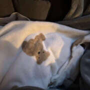 ヒメ日記 2026/01/09 20:00 投稿 るな ぱぴぷぺPOP