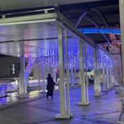 ヒメ日記 2025/12/14 23:48 投稿 なな チューリップ土浦店