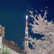 ヒメ日記 2026/04/09 17:40 投稿 めぐ 千葉ミセスアロマ（ユメオト）