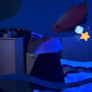 ヒメ日記 2025/12/26 05:10 投稿 白雪ふゆ ウルトラホワイト