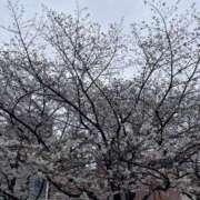 のあ 4/7（火）出勤してます🌸 性春放課後スクワット五反田編