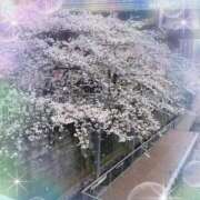 ヒメ日記 2026/04/05 17:57 投稿 宝生(ほうしょう) 人妻出逢い会 百合の園 山の手本店