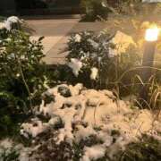 ヒメ日記 2026/02/10 00:14 投稿 有栖（ありす） ビッグバード