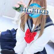 ヒメ日記 2026/02/10 19:34 投稿 有栖（ありす） ビッグバード