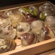 ヒメ日記 2026/03/11 18:35 投稿 有栖（ありす） ビッグバード