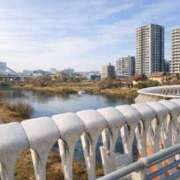 ヒメ日記 2026/02/18 12:59 投稿 あゆむ 東京人妻セレブリティ（ユメオト）