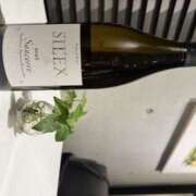 ヒメ日記 2026/03/23 14:35 投稿 あゆむ 東京人妻セレブリティ（ユメオト）