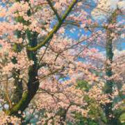 ヒメ日記 2026/03/31 11:40 投稿 あゆむ 東京人妻セレブリティ（ユメオト）