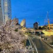 ヒメ日記 2026/04/11 10:00 投稿 あゆむ 東京人妻セレブリティ（ユメオト）