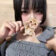 ヒメ日記 2026/07/05 16:05 投稿 りん SPIN(スピン)