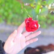 ヒメ日記 2026/01/12 13:32 投稿 光星きらり 池袋性感アロマ＆スイート ALLAMANDA -アラマンダ-