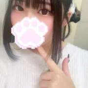 ヒメ日記 2025/12/23 06:34 投稿 みかん 桃李（とうり）